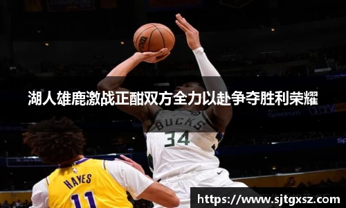 威廉希尔